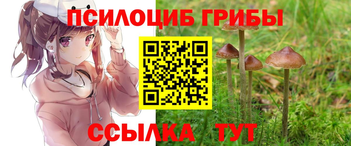 Псилоцибиновые грибы Cubensis Карталы